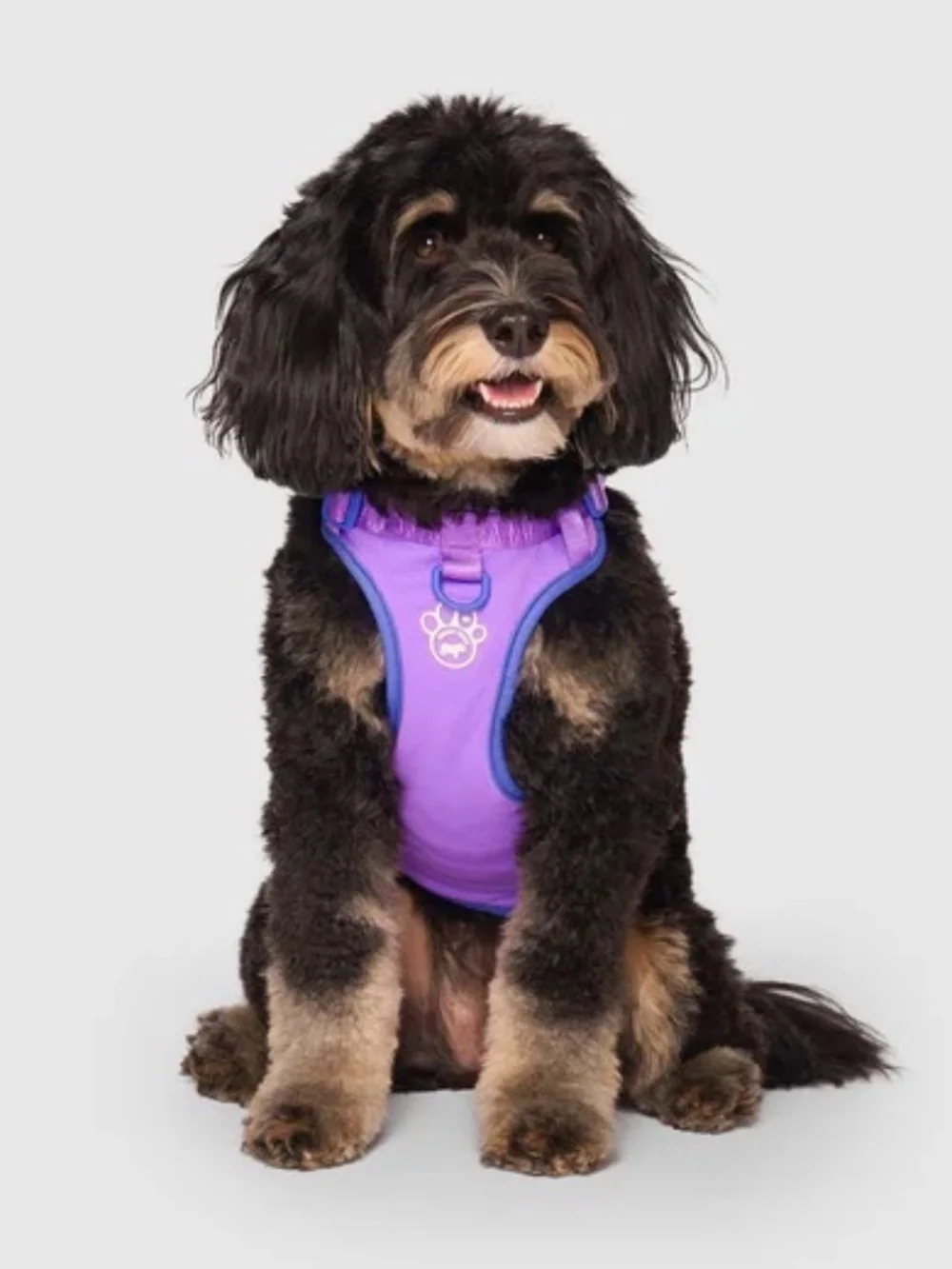 NWT Max Chill Cooling Harness - Canada Pooch
